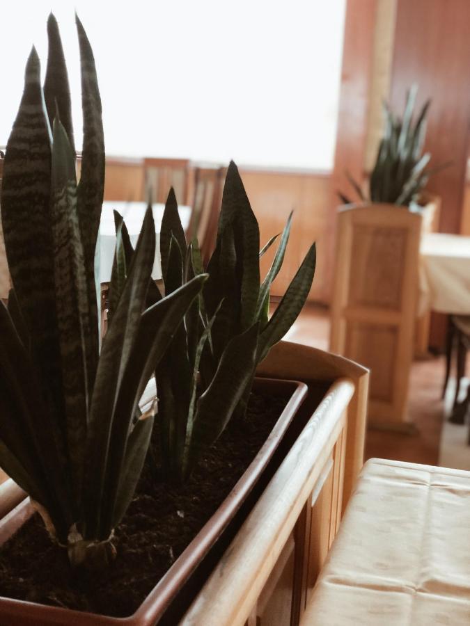 Hotel Kupres Купрес Екстериор снимка